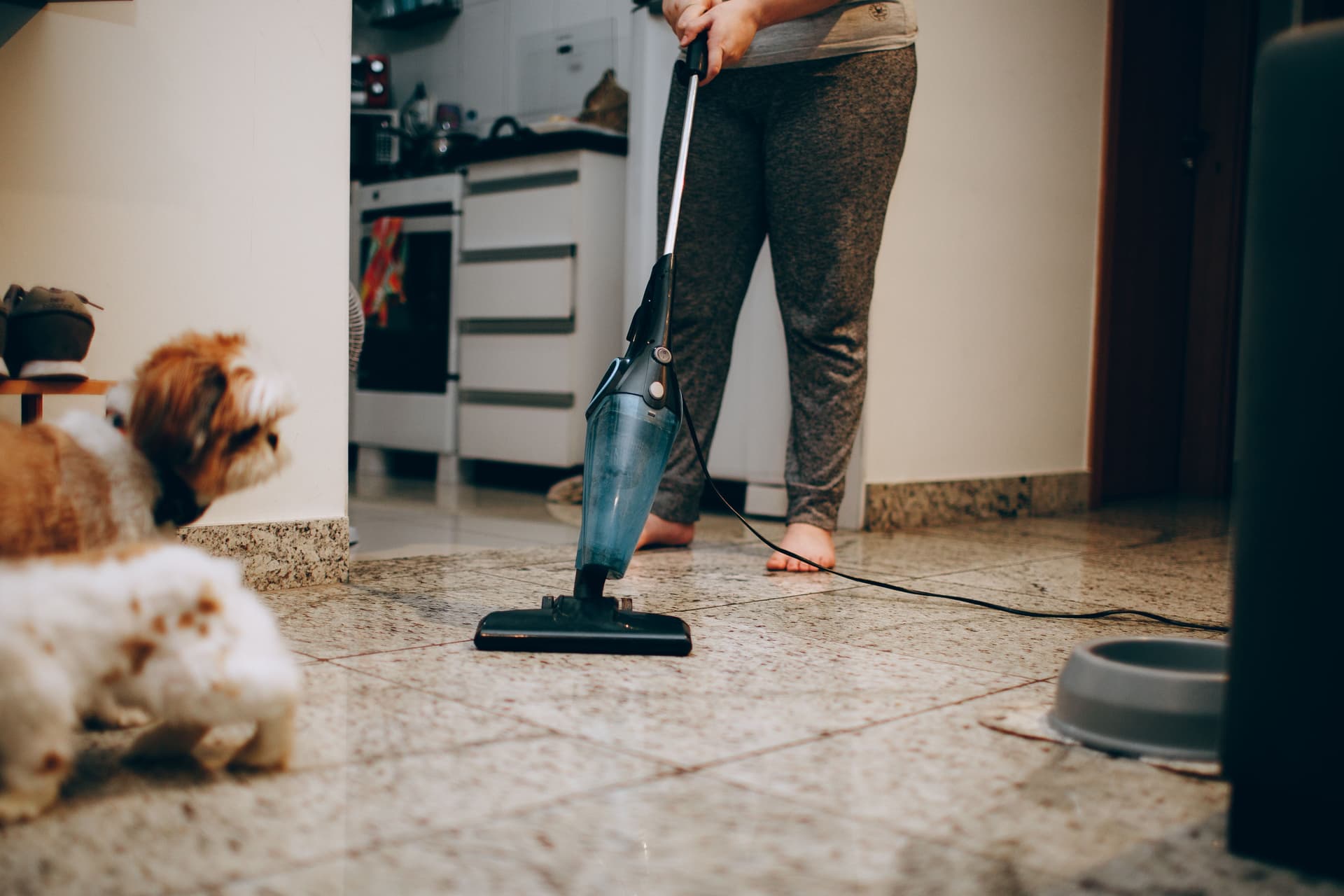 Person vacuuming tiled floors in a home with pets nearby